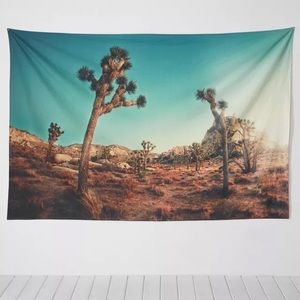 Urban Outfitters Aaron Morris Joshua Tree Tapestry